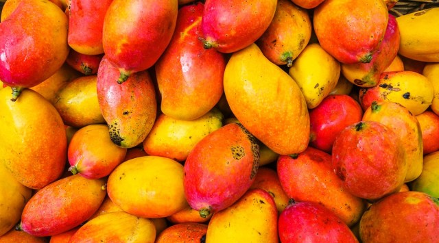 mangoes