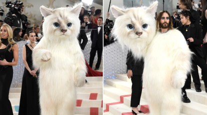 Karl Lagerfeld's cat, Choupette, stars in Vogue cover story