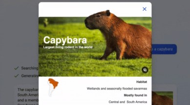 مایکروسافت بینگ به روز رسانی capybara برجسته شد