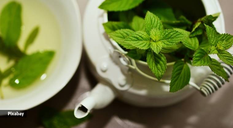 Mint relaxes the muscles in the digestive tract and helps reduce inflammation, which can help reduce bloating.