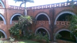 Vadodara news, Maharaja Sayajirao University, msu, MSU university, Ahmedabad news, Gujarat, Indian Express, Current affairs