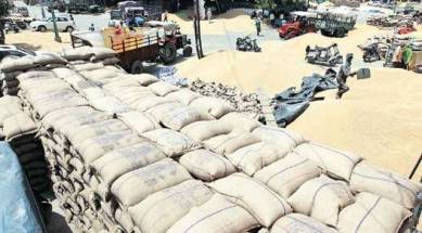 mustard, mustard MSP, oilseed, registration window, avail the benefit of government procurement, registration window open, indian express, indian express news