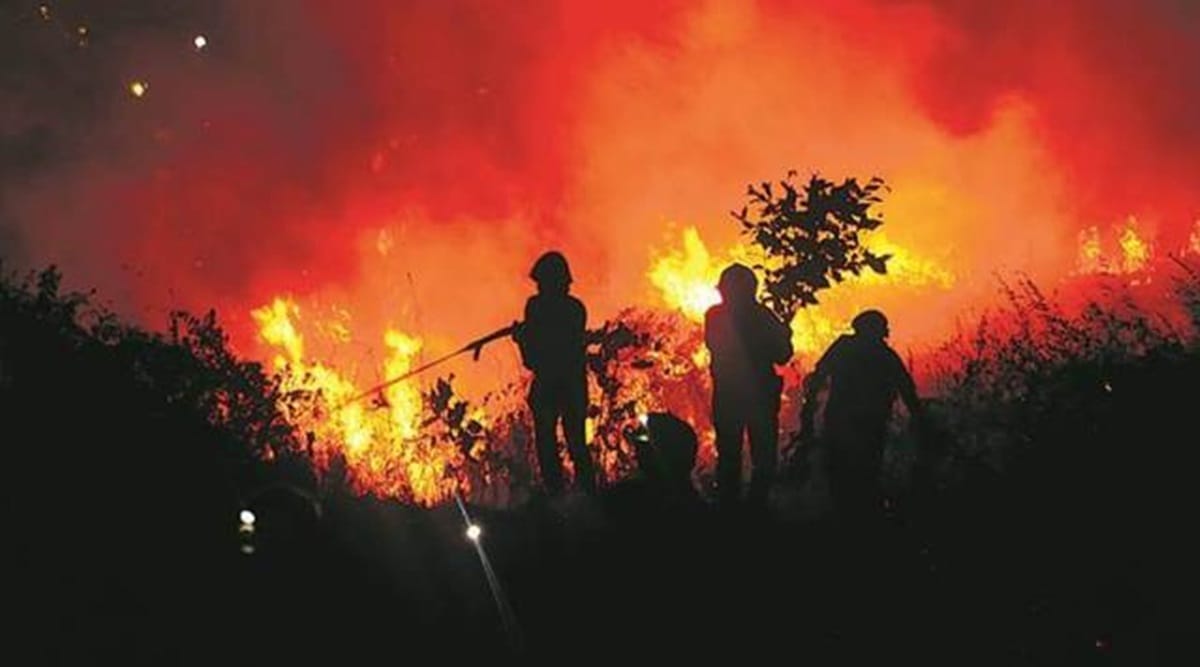 Himachal forest fires