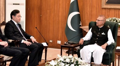 Chinese FM meets Pak President
