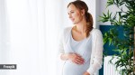 pregnancy