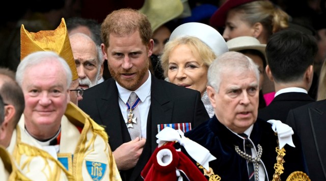 prince harry at charles coronation