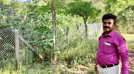 pune ayurveda forest