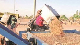 Cabinet grain storage plan India