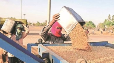 Cabinet grain storage plan India