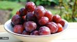 Plums are beneficial for relieving constipation and promoting skin health. This fiber content can also act as a natural laxative and support a glowing complexion