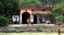 sherpuria conman arrest