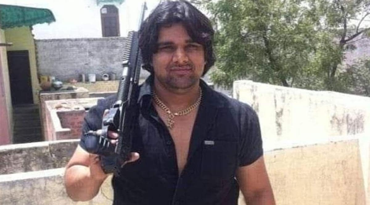 Picture of Tillu Tajpuriya