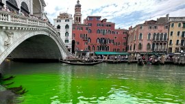 Gondolas navigate by the Rialto Bridge on Venice's historical Grand Canal as a patch of phosphorescent green liquid spreads in it, May 28, 2023. (AP)