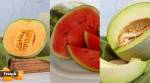 watermelon vs musk melon vs wax melon