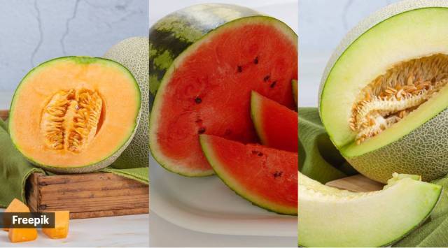 watermelon vs musk melon vs wax melon