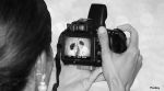 wedding photoshoot refund