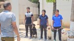 Tamil Nadu Police recuitment, appointment of women cops in dog squad, dog handler trainee, women cops appointment as dog handler trainee, TN police dog squad, indian express, indian express news