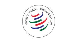 WTO June meet India trade