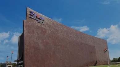 Zydus Wellness Q4 profit