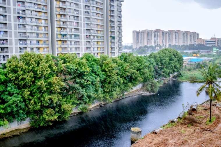 Lakes Of Bengaluru Bellandur Lake To Be Restored By 2024 Environment