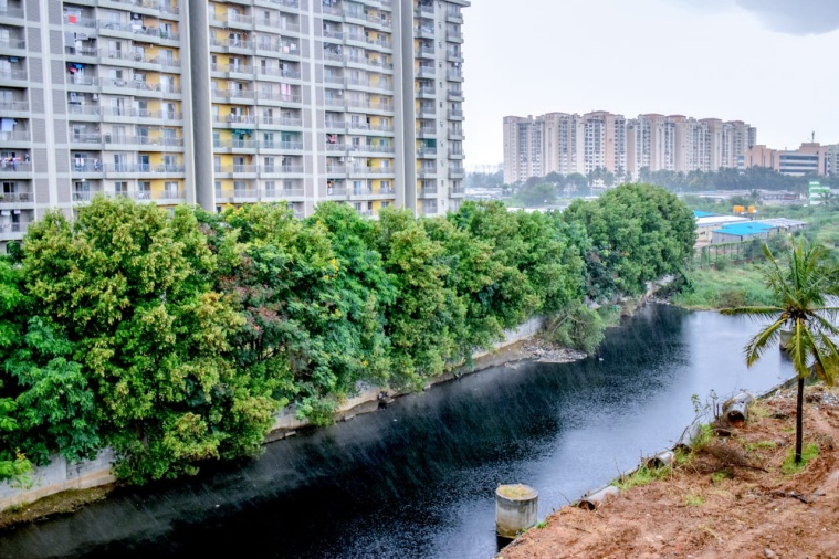 Lakes of Bengaluru: Bellandur Lake to be restored by 2024, environment ...