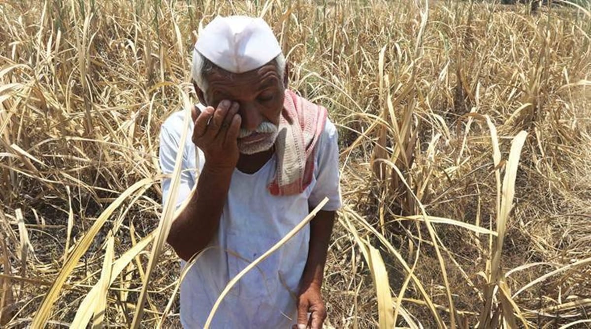 16,744 farmers paid Rs 41.68 crore for loss due to unseasonal rain
