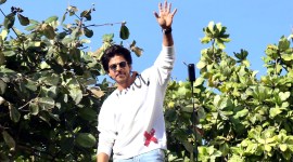 shah rukh khan, shah rukh khan movies, shah rukh khan dunki, shah rukh khan dunki movie, dunki, dunki movie, shah rukh khan dunki film, jawan movie, shahrukh khan jawan, shahrukh khan jawan movie