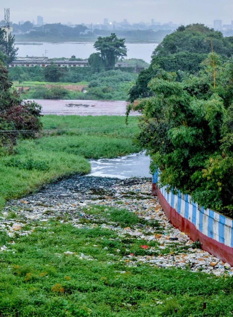 Lakes of Bengaluru Bellandur Lake to be restored by 2024, environment