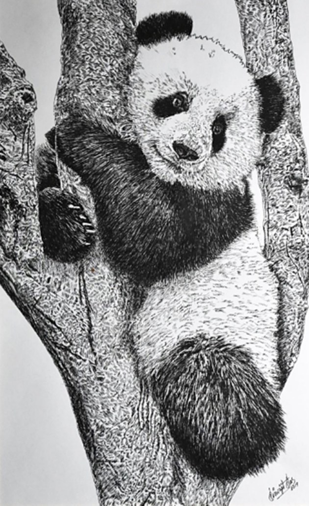 art, artworks, pen and ink, art exhibition, biswajit das, new delhi art gallery, new delhi art exhibition, new delhi, india, artist, indian express