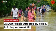 Assam Flood 2023 Nearly 29000 People Reeling Under Flood Lakhimpur 