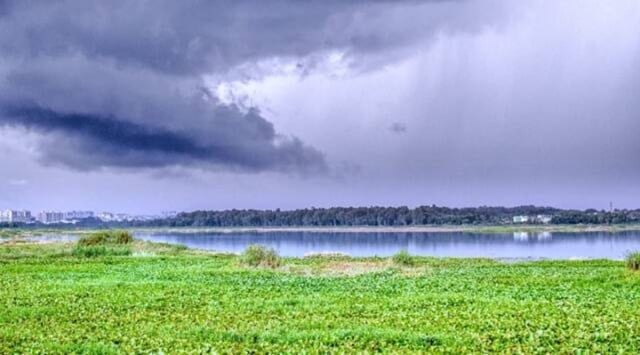 Bellandur Lake