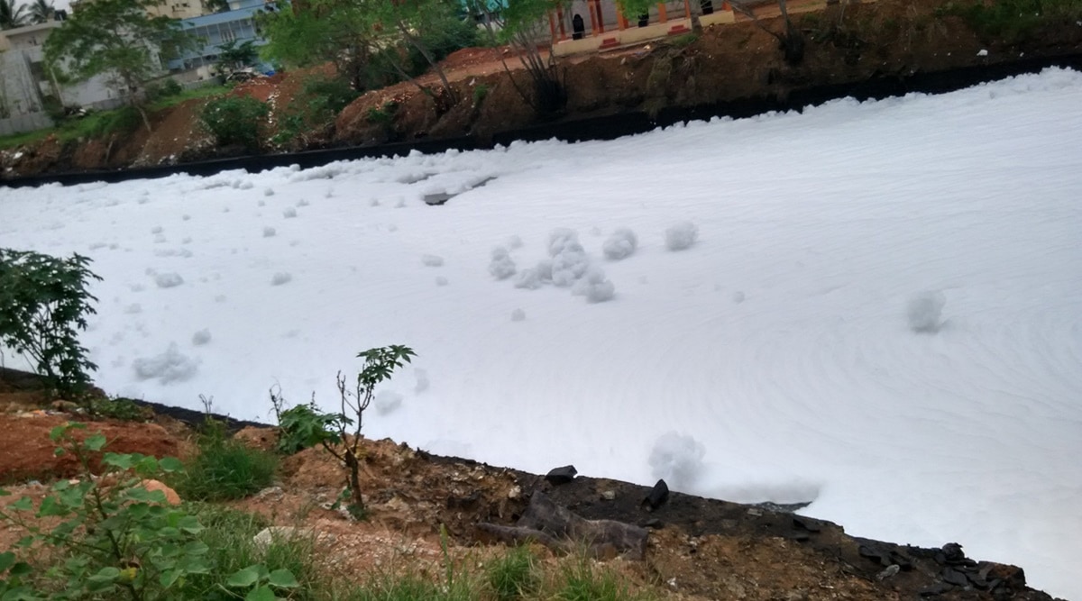Bellandur lake foaming