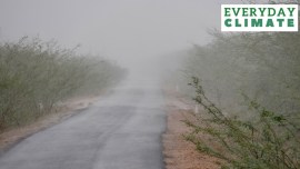 Cyclone Biparjoy: Rain in Kutch