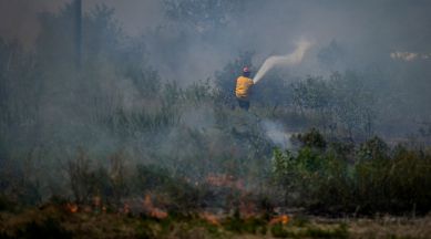 Wildfire in canada