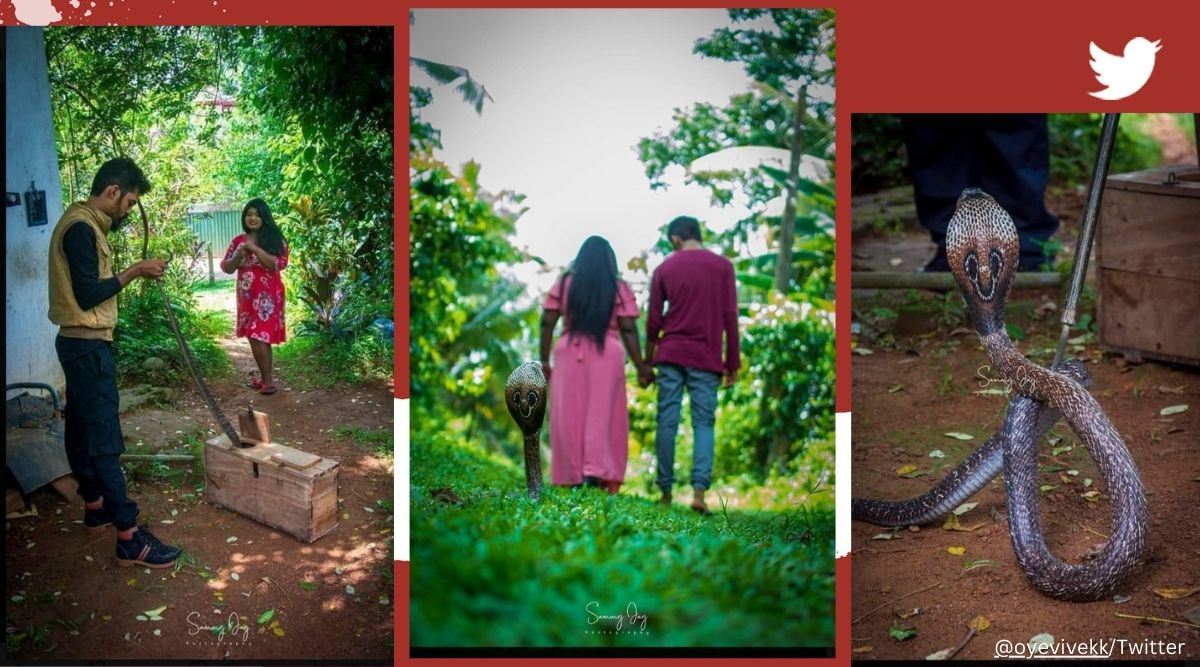 Couple's pre-wedding photoshoot featuring a snake goes viral: 'Nag ...
