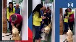 Dog shot during robbery given a warm send-off by hospital staff after undergoing three surgeries
