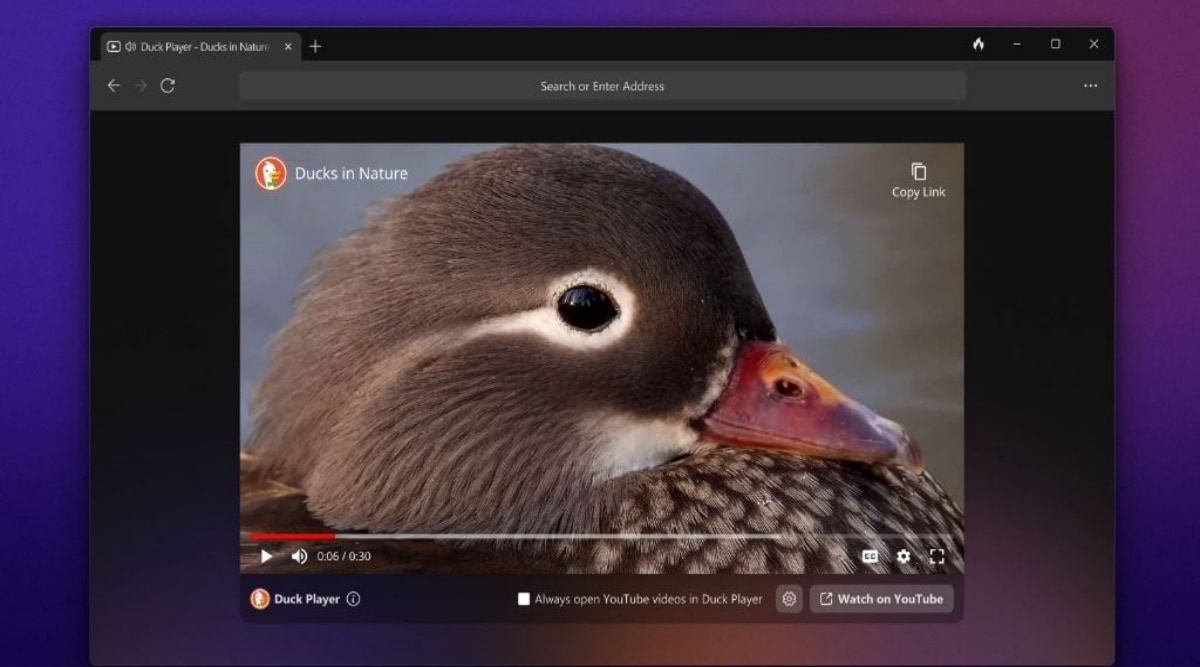 DuckDuckGo | DuckDuckGo for Windows | DuckDuckGo public beta