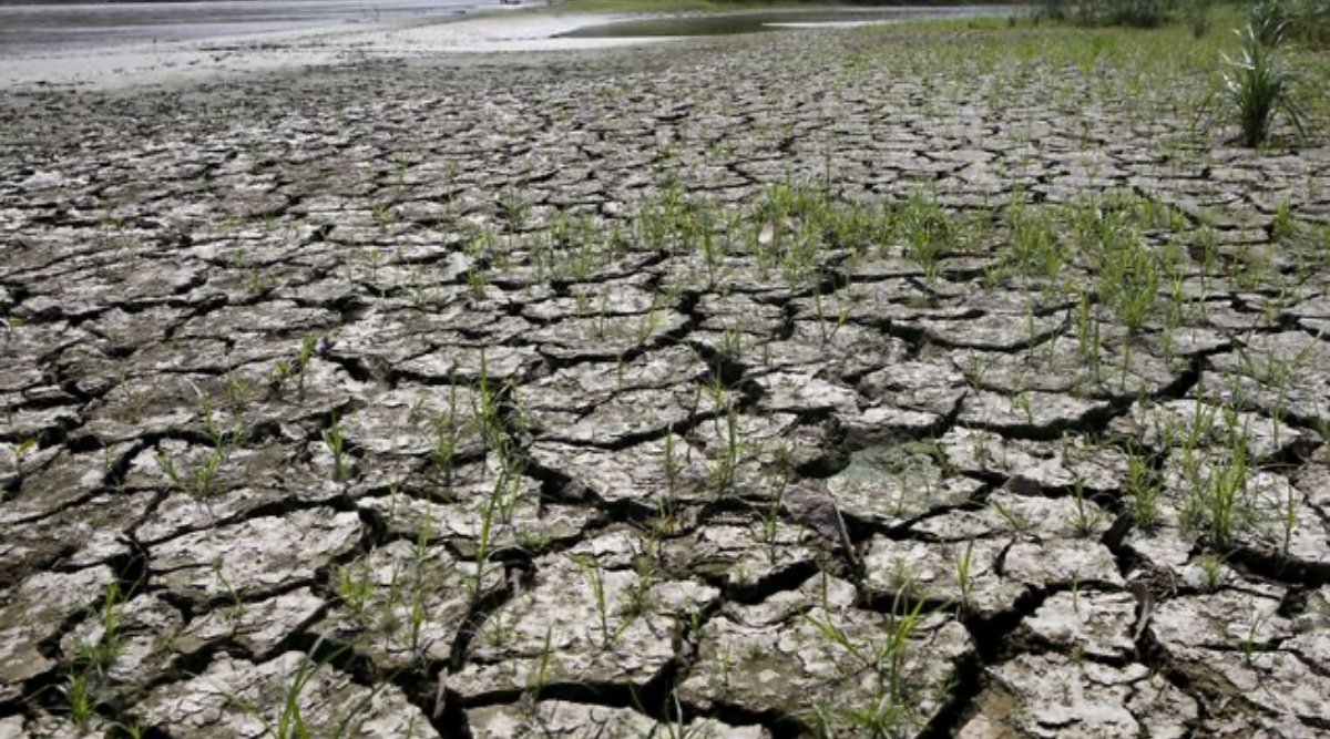 El Nino returns after 7 years, June arrival likely to impact second half of monsoon | World News - The Indian Express