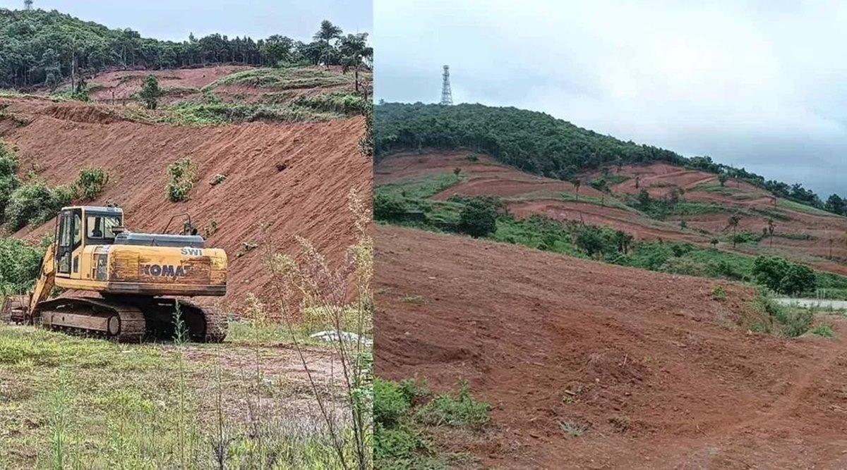 3 realtors fell 80 trees in over 38 acres of 'vulnerable' land in Karnataka, booked - Vimarsana News