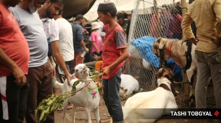 Bakra eid