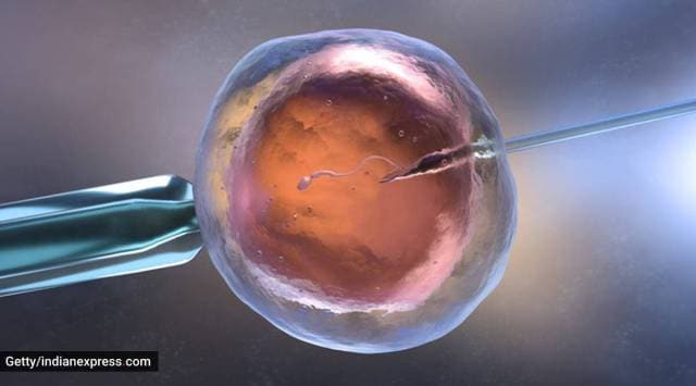 IVF treatment
