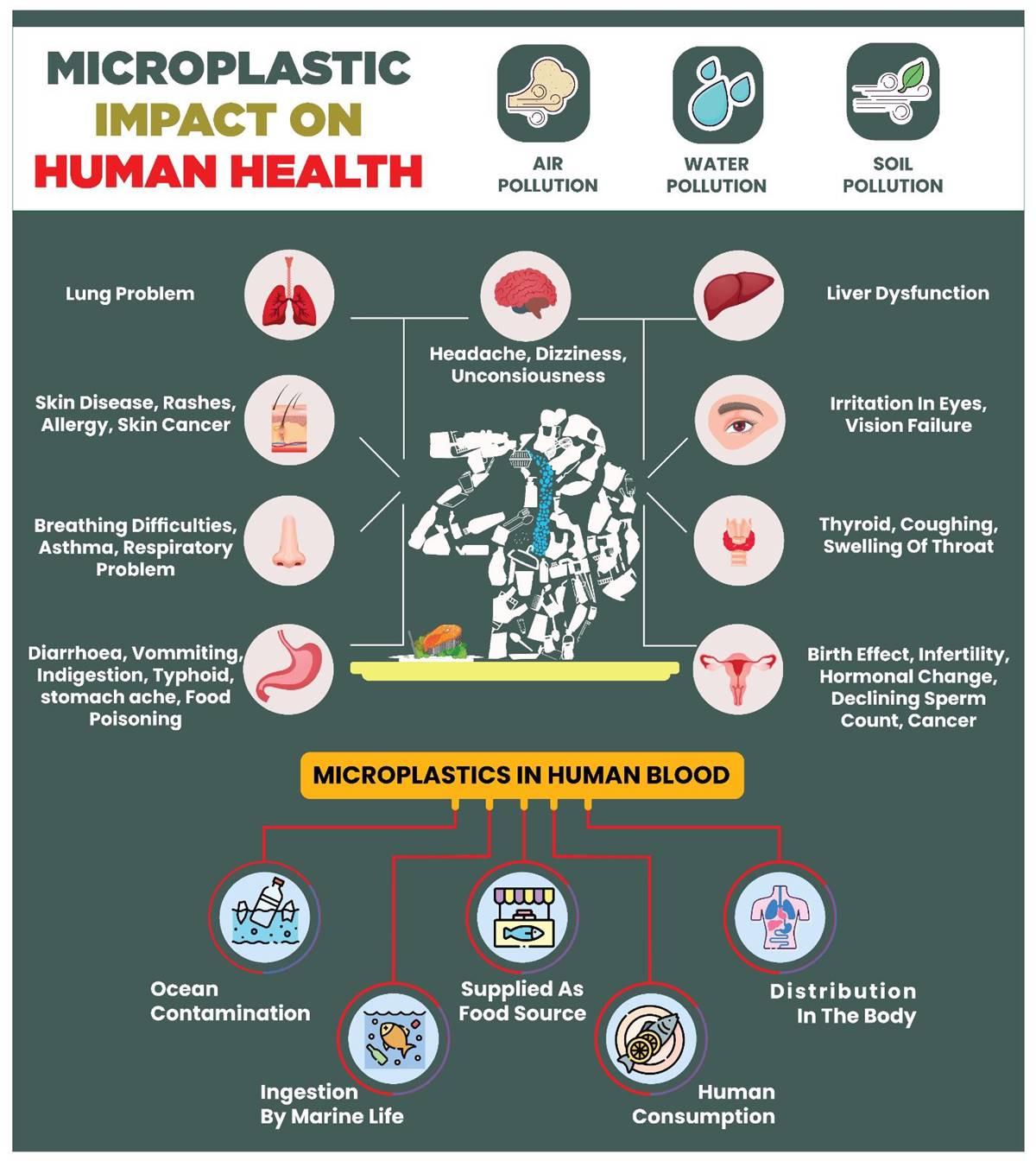 How microplastics in foods and beverages affect gut health health and