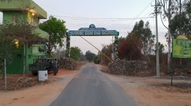 Bannerghatta National Park