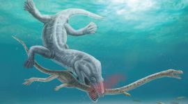 artist's rendition of a marine reptile predator attacking and decapitating the long-necked marine reptile Tanystropheus hydroides during the Triassic Period.
