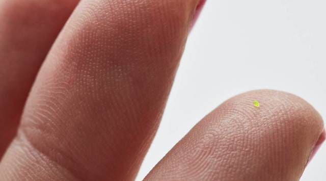 The Microscopic Handbag by MSCHF. (MSCHF via The New York Times)