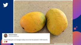 Man shares how house help got him mangoes as her kid passed Class 10