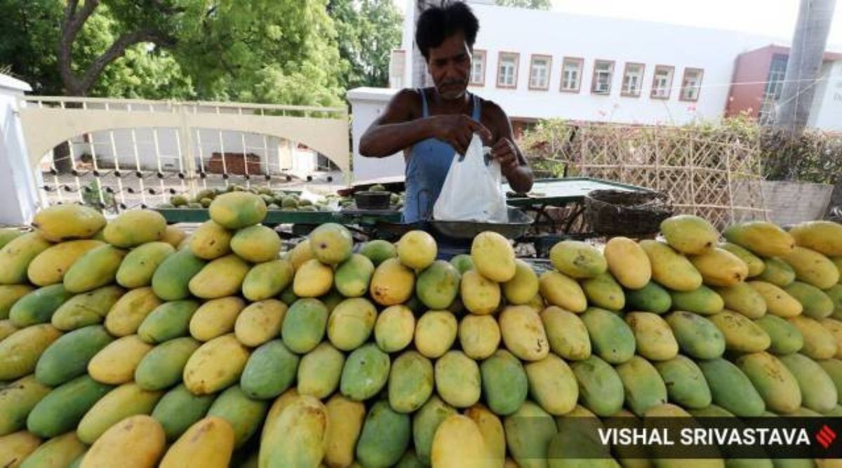 Bengaluru’s annual mango festival fails to evoke interest, extended