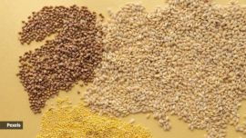 simple tips to cook millet
