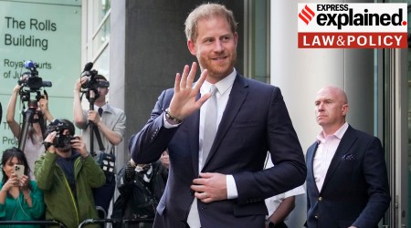Britain Prince Harry Legal Cases