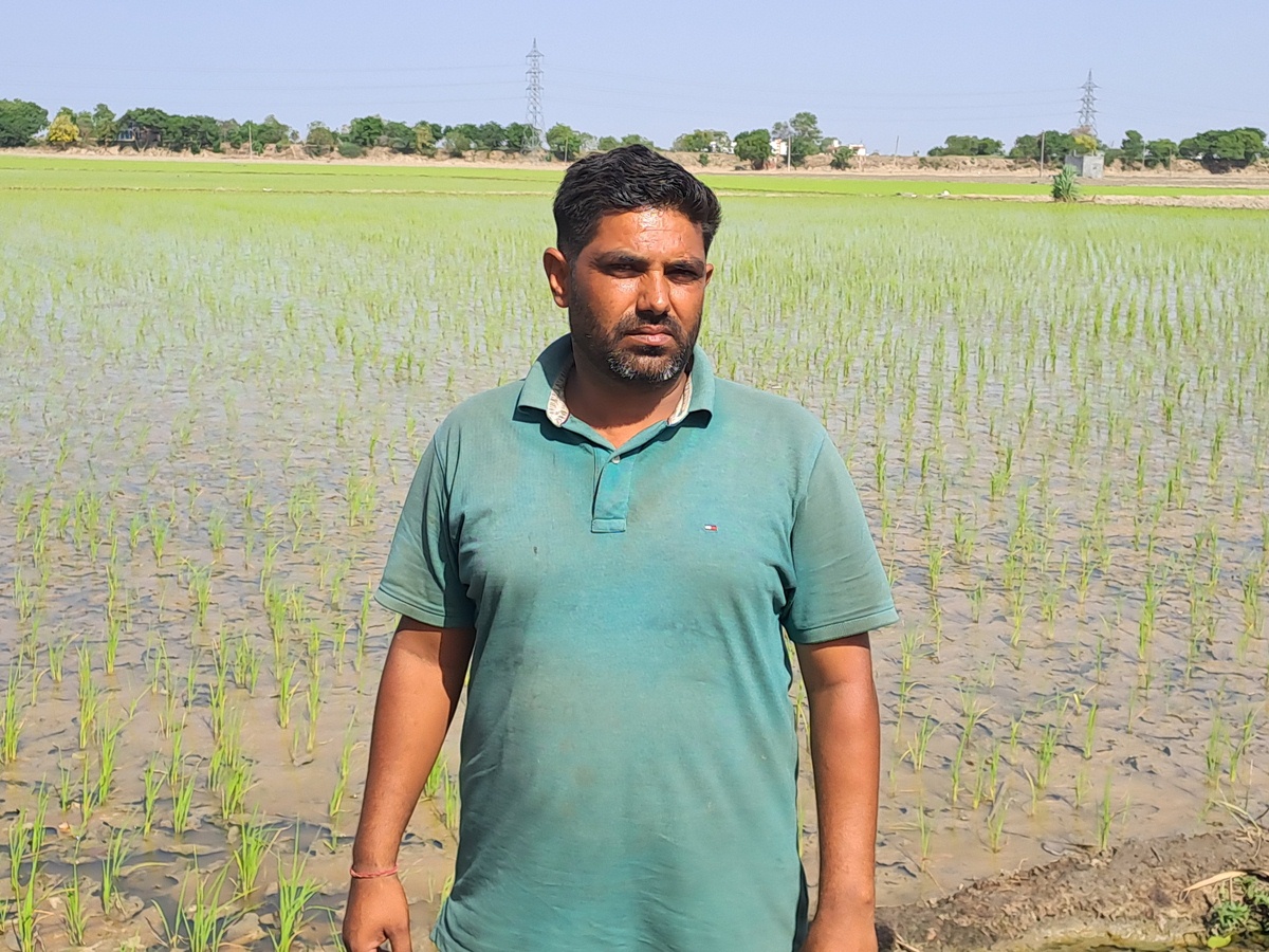 Direct Seeding of Rice – A Simple Solution to India's Water Crisis